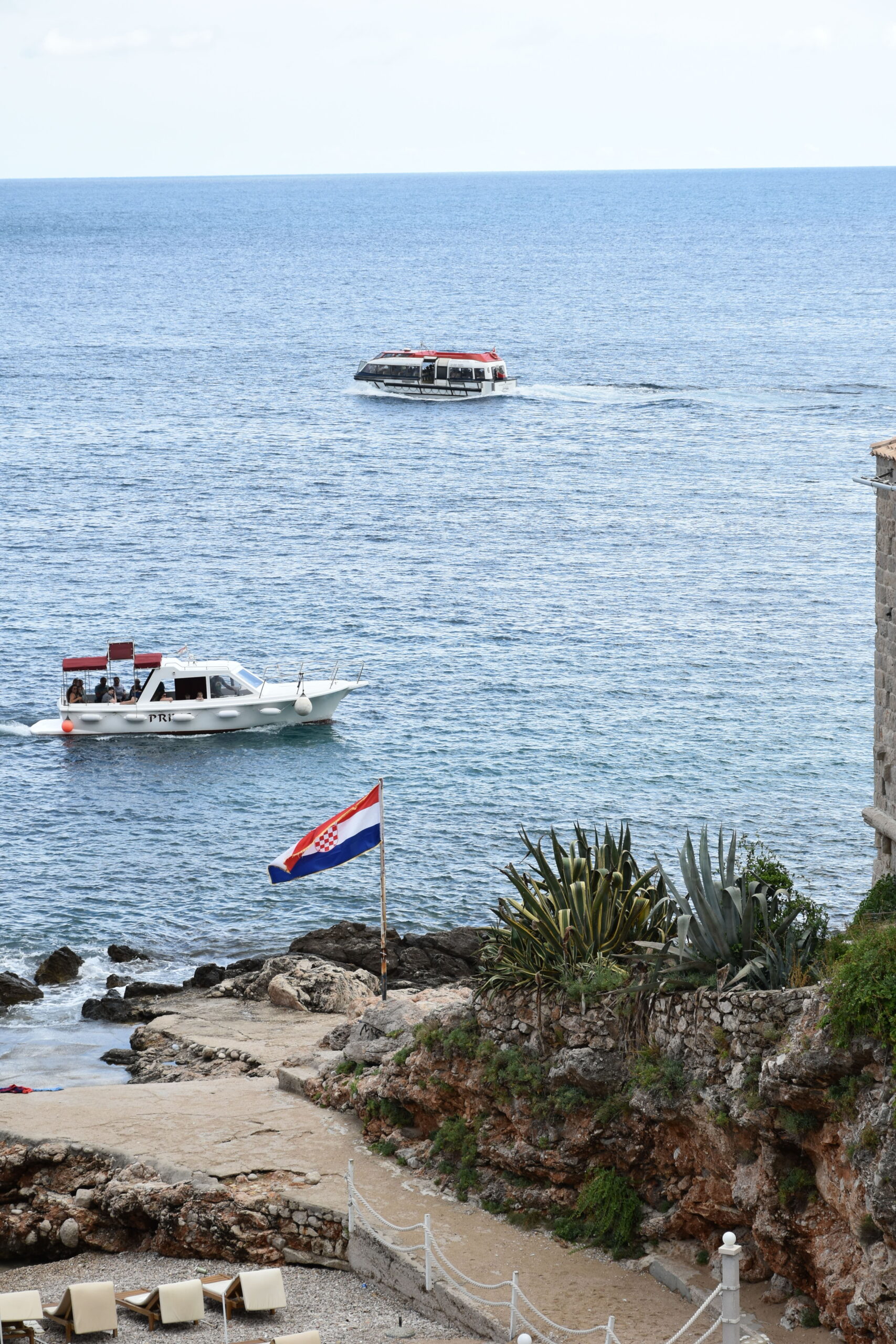 DSC_0417 (1)